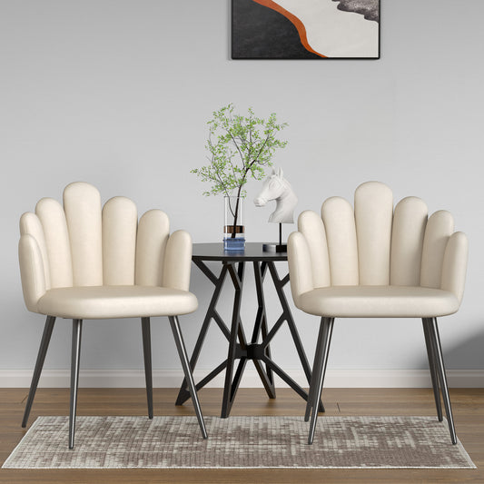Kitchen & Dining Room Chairs, Velvet Mid Century Dining Chairs, Kitchen Chairs Set of 2, Beige