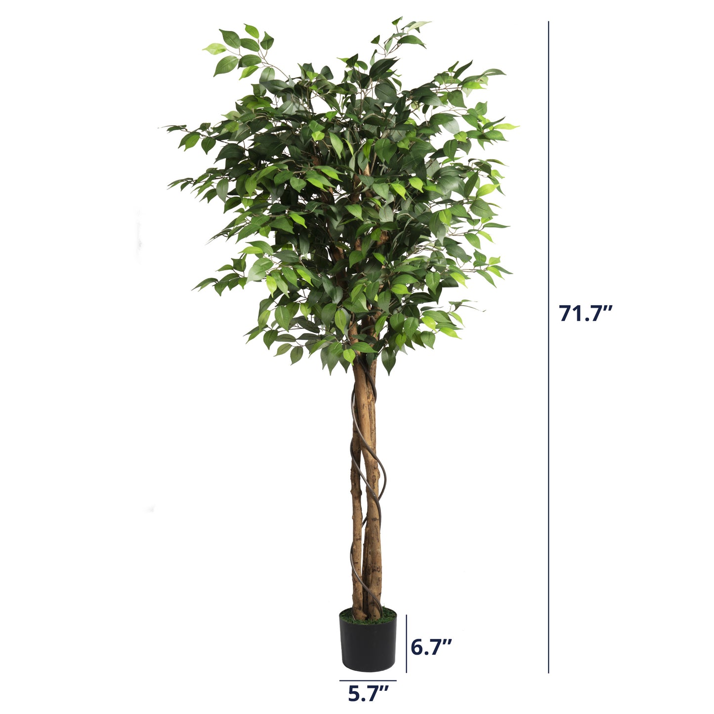 Artificial Ficus Tree 71in - Faux Indoor Tree for Home Decor, Evergreen 6-Feet Tall Fake Tree Plant, Fake Floor Plant with Sturdy Plastic Nursery Pot for Living Room, Farmhouse, Office