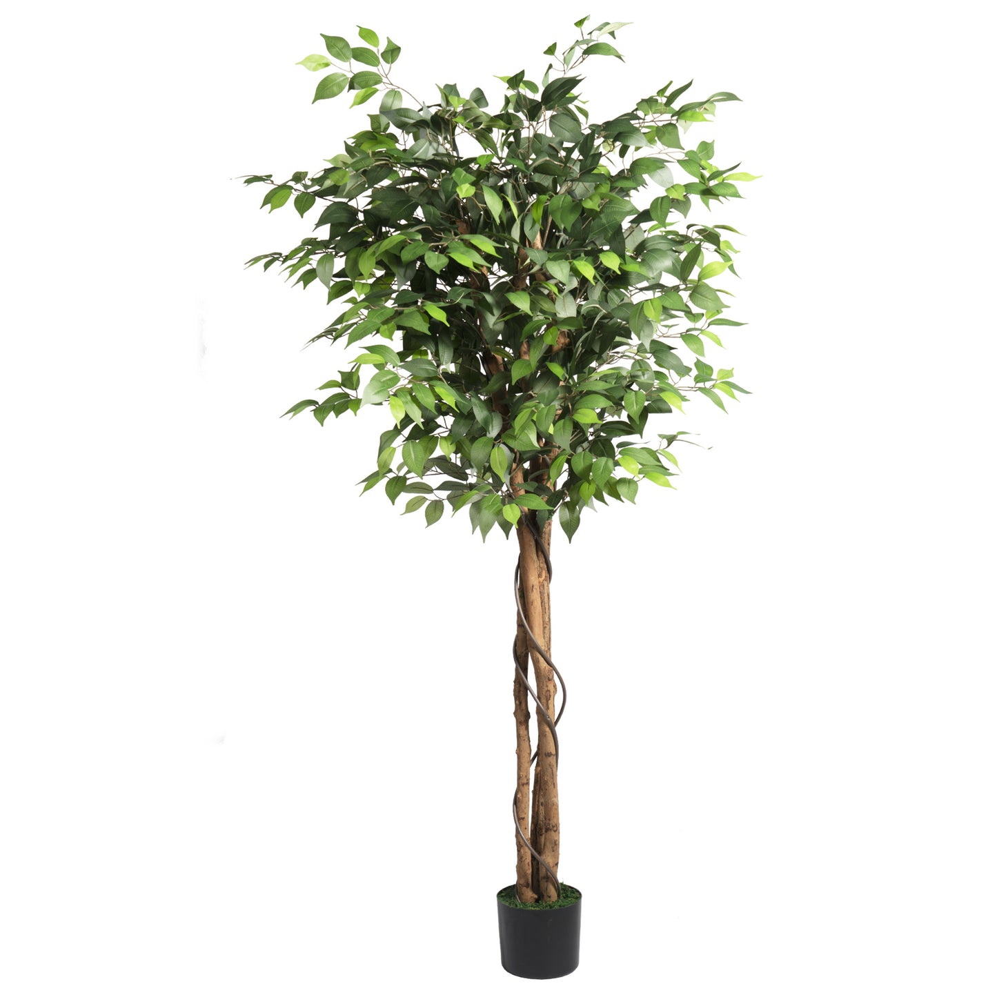 Artificial Ficus Tree 71in - Faux Indoor Tree for Home Decor, Evergreen 6-Feet Tall Fake Tree Plant, Fake Floor Plant with Sturdy Plastic Nursery Pot for Living Room, Farmhouse, Office